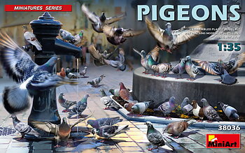 1/35 PIGEONS