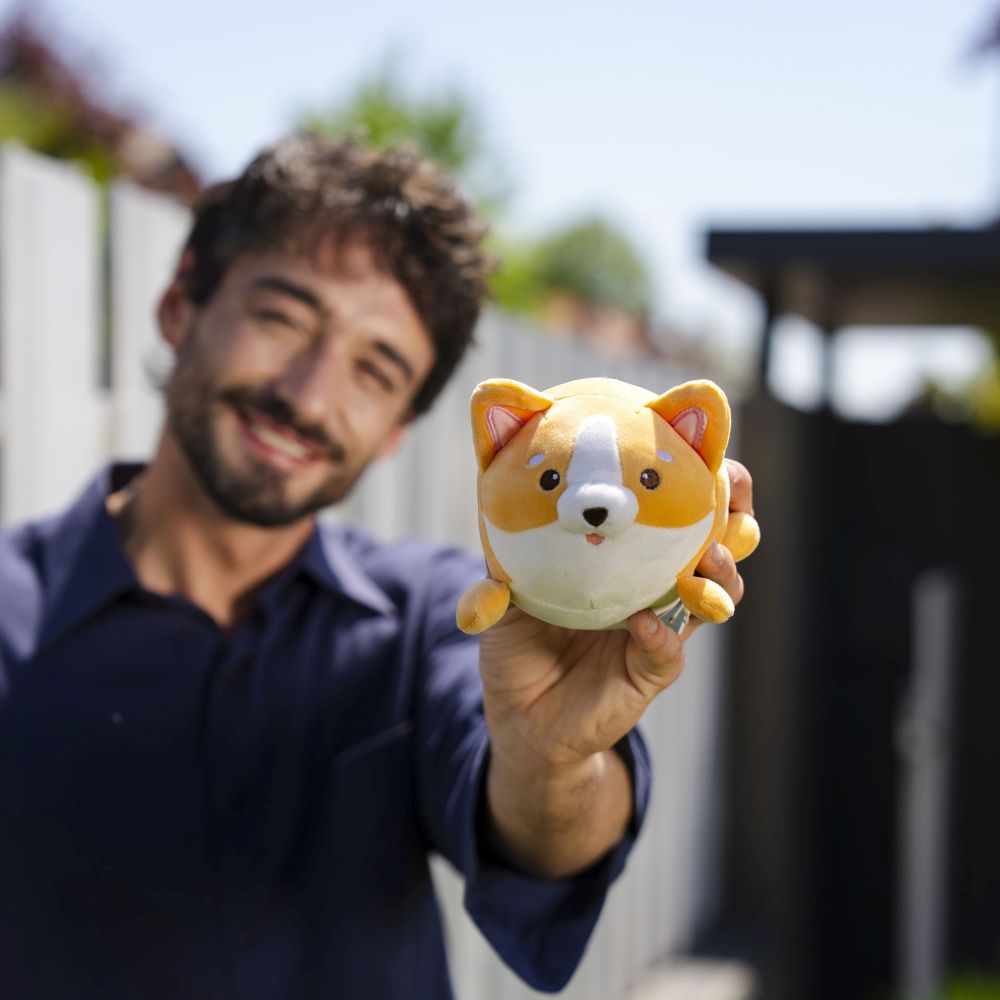 Super soft! Mini - Corgi - 4