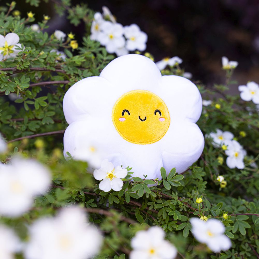 Super soft! Mini - Daisy - 5