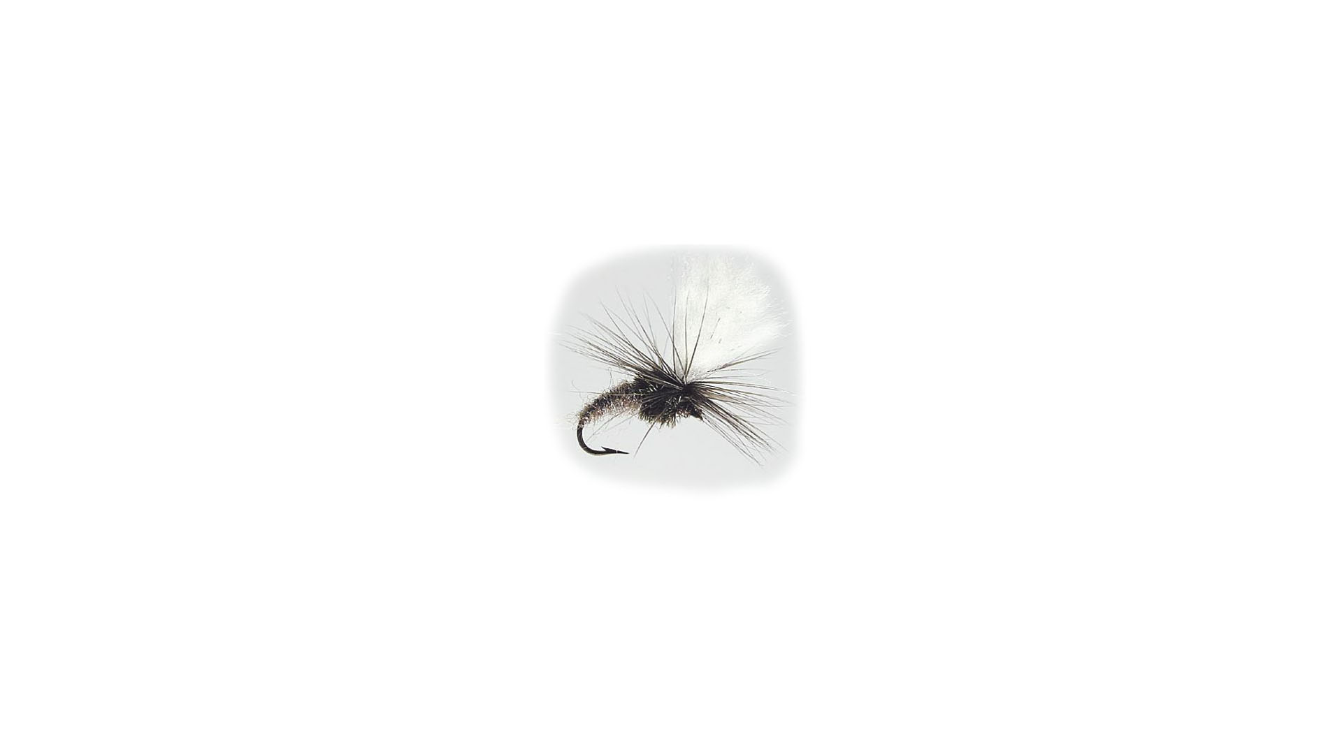 Klinkhammer Dark Brown