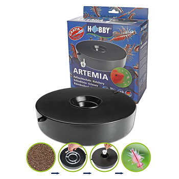 Hobby Brine Shrimp hatcher