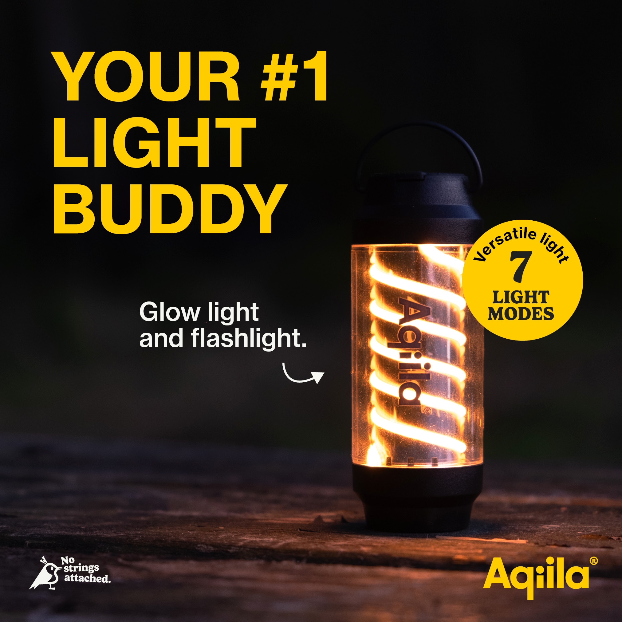 Aqiila Lightbird G1 - 5