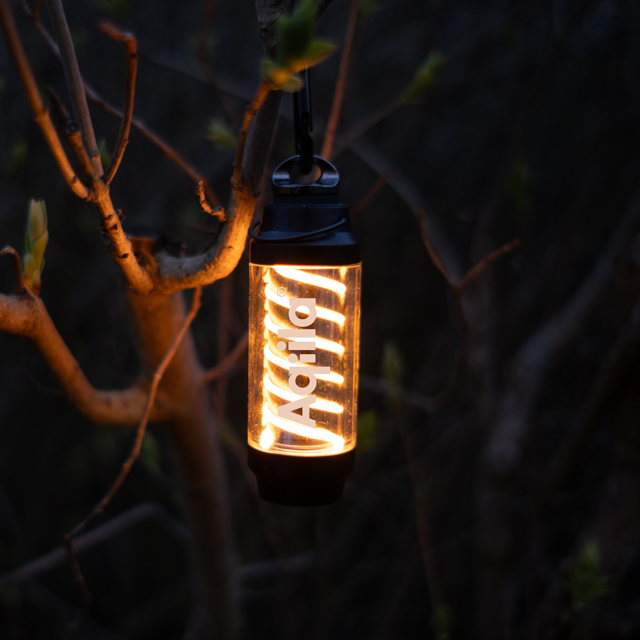 Aqiila Lightbird G1 - 2