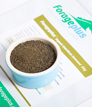 FORAGEPLUS HEBRIDEAN SEAWEED FOR HORSES | IODINE 