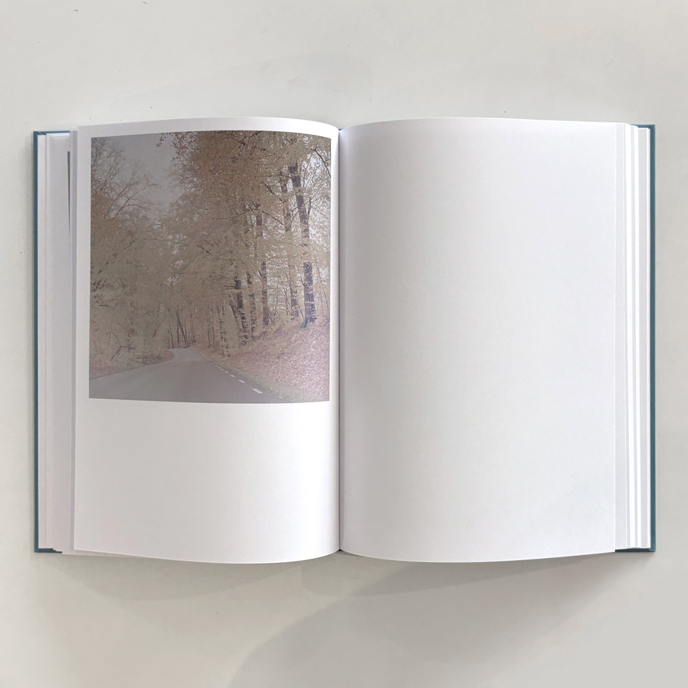 C.F. Dahl: Waiting for Waves [signed and numbered + print] - 4