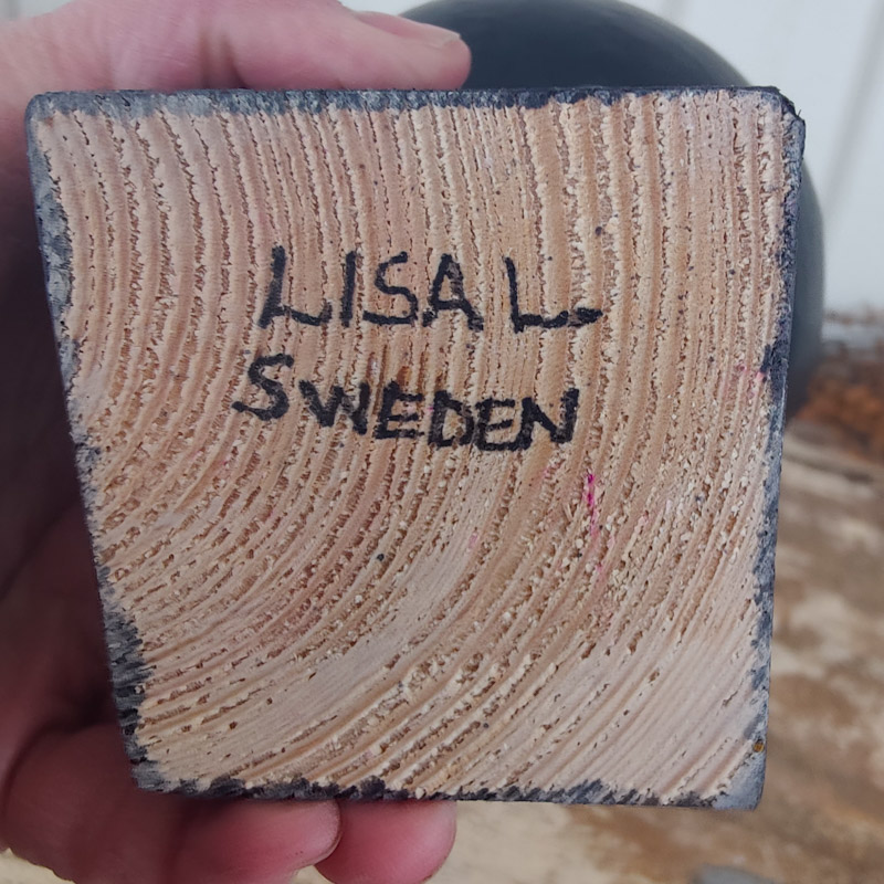 Fågel Fenix Gottfrid svart av Lisa Larson - 3