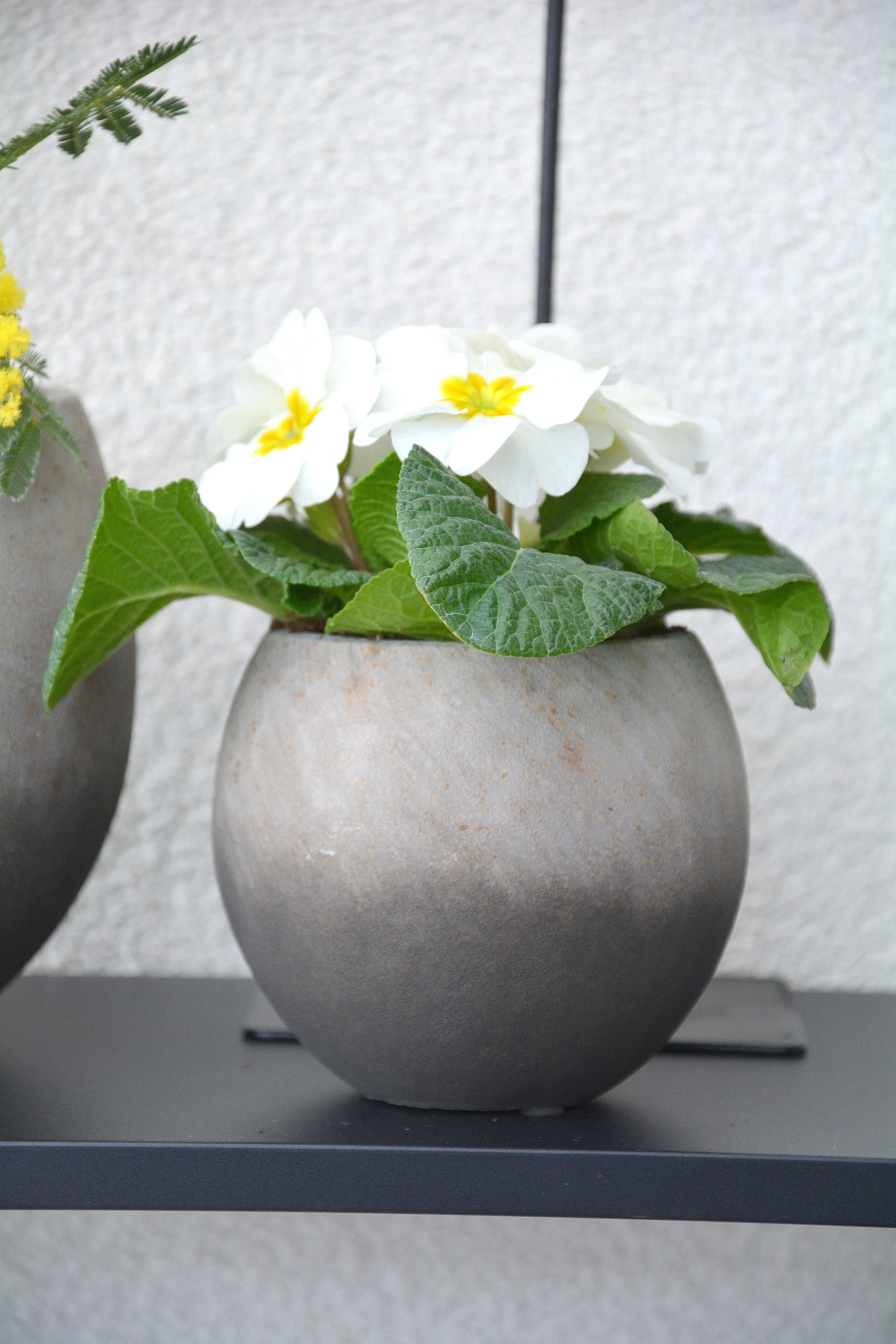 Kruka 2-färgad liten 12 cm