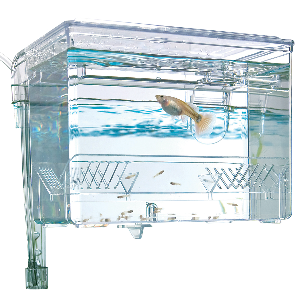 Fluval Breeding Box Hang on LxBxH: 16,5x12,5x12 cm 1,1 liter - 3