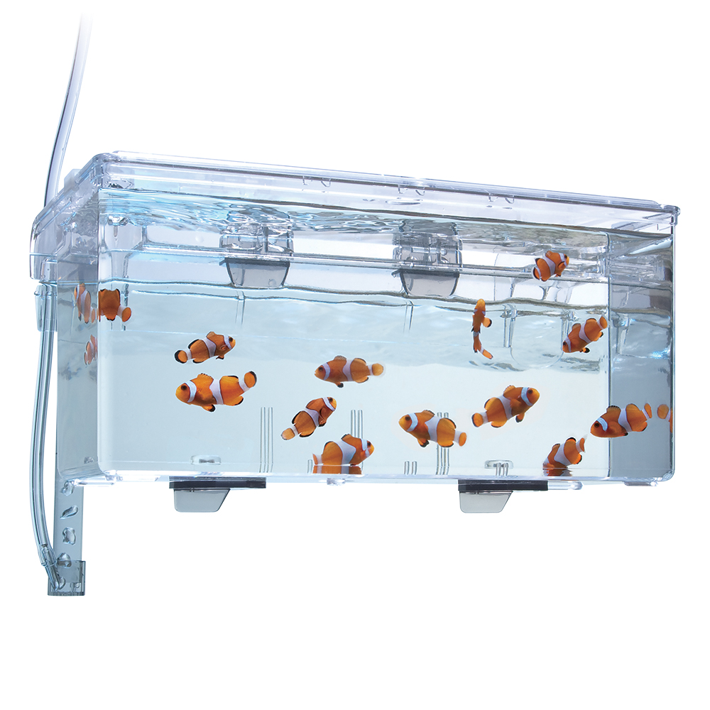 Fluval Breeding Box Hang on LxBxH: 26x14x10 cm 1,9 liter - 3