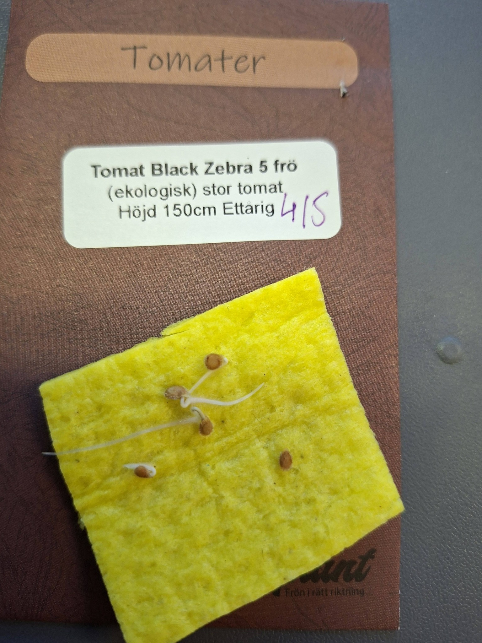 Tomat Black Zebra  5 frö (ekologisk)  - 2