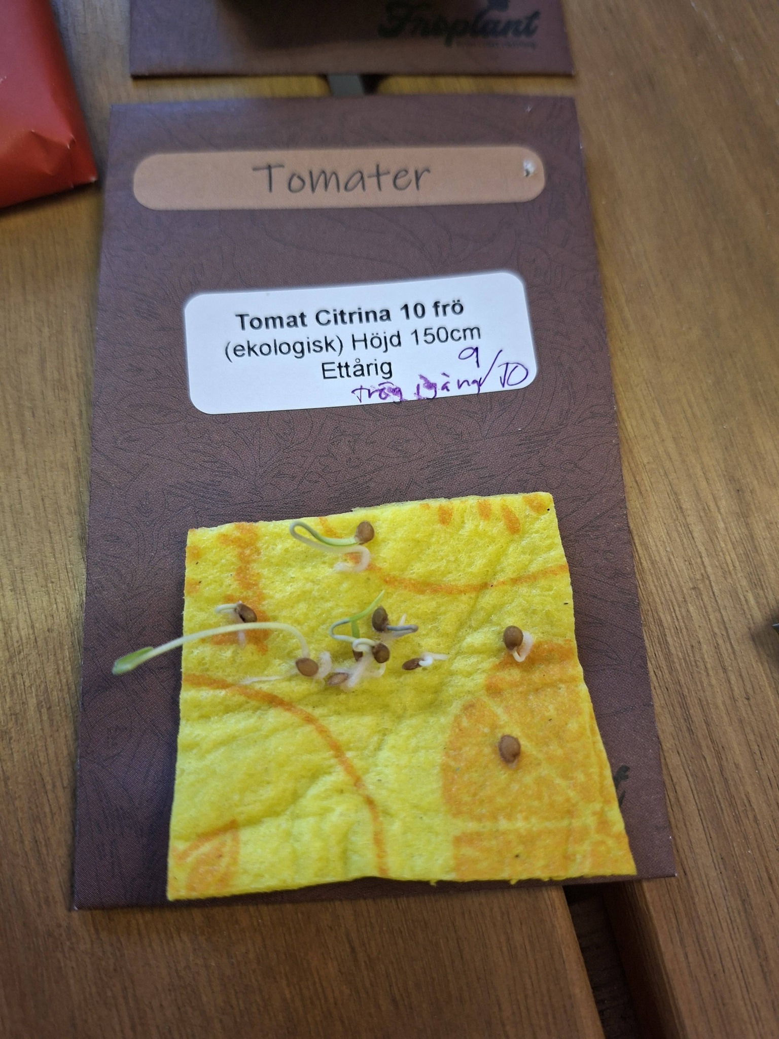 Tomat Citrina 10 frö (ekologisk)  - 2
