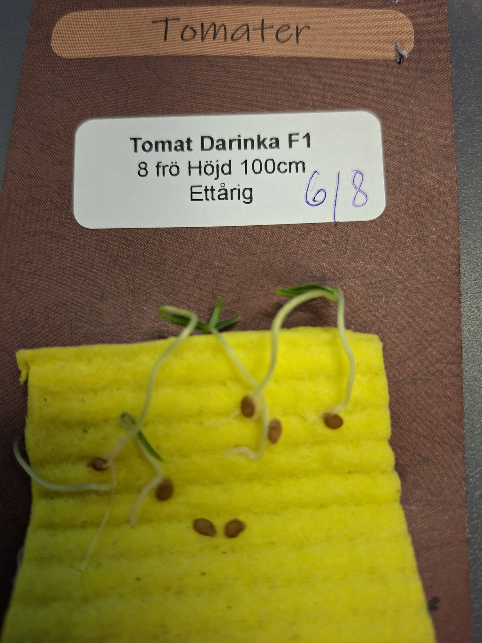 Tomat Darinka F1 8 frö   - 2