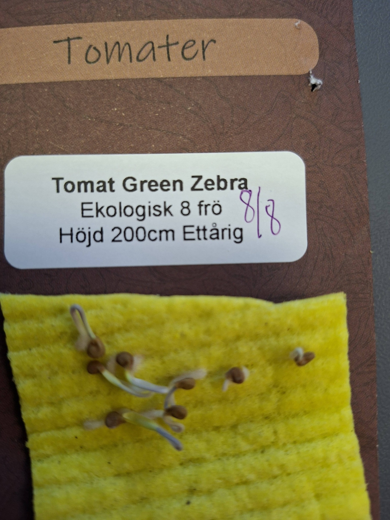 Tomat Green Zebra Ekologisk 8 frö - 2
