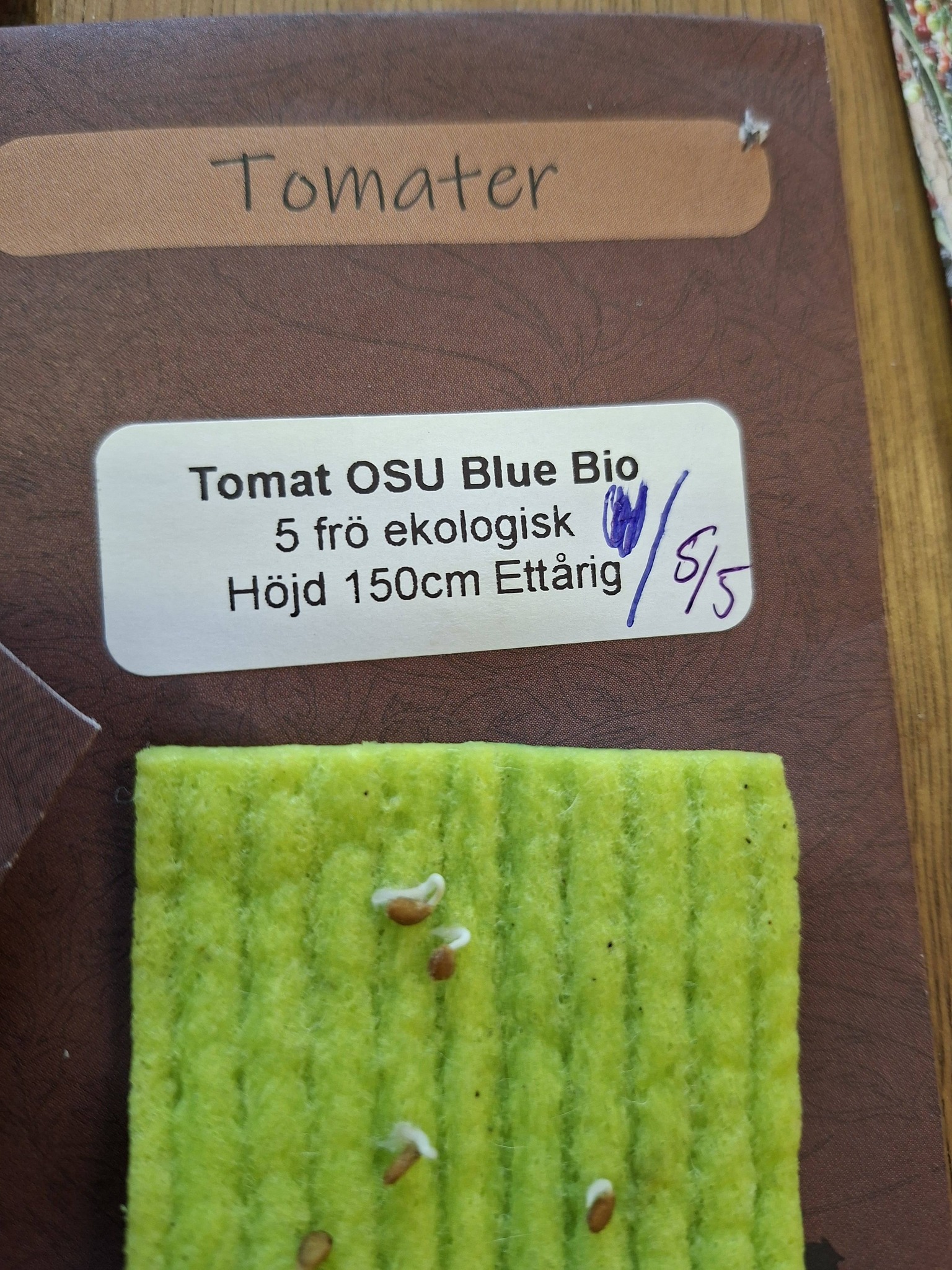 Tomat OSU Blue Bio 5 frö ekologisk   - 2