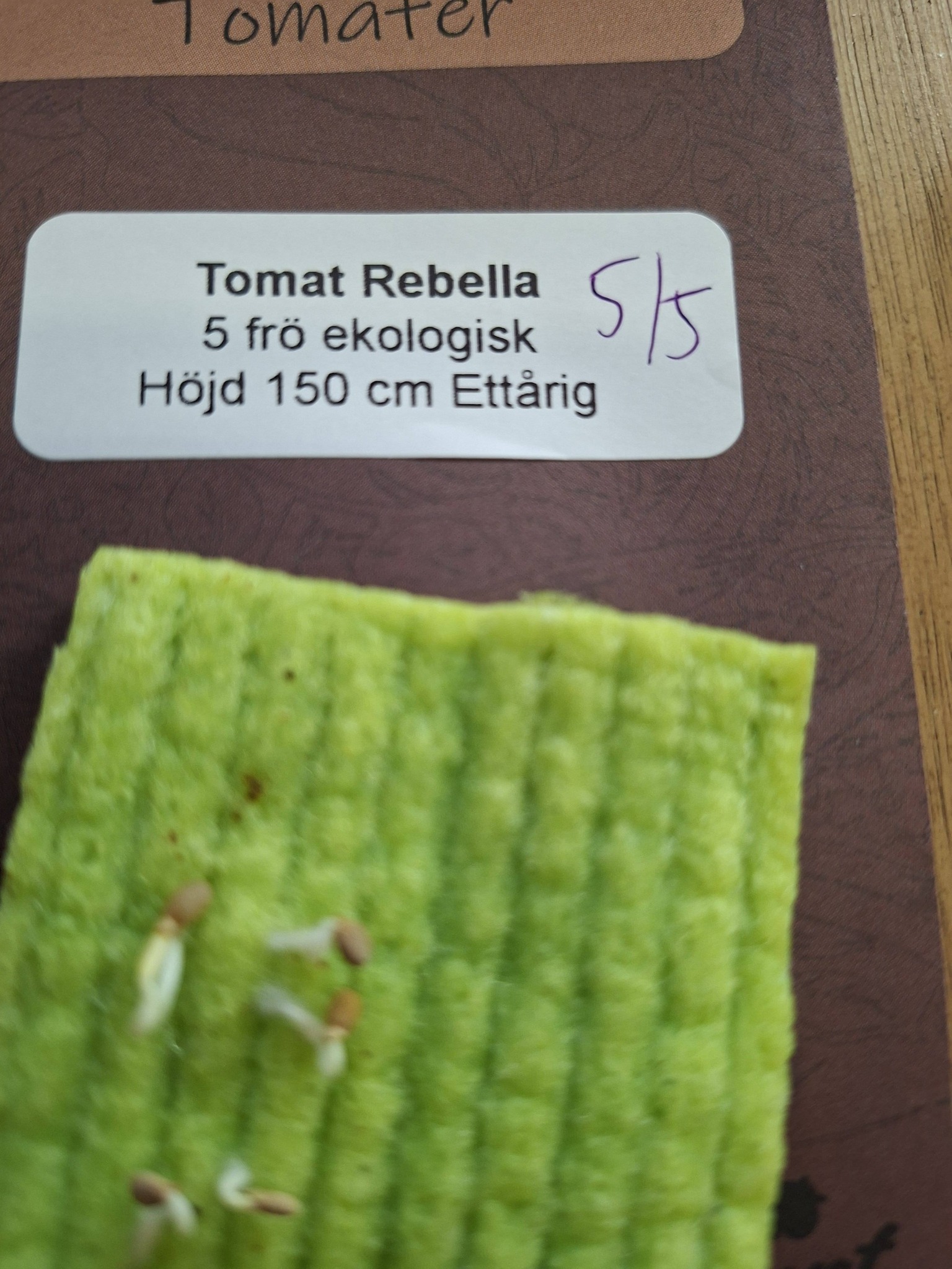 Tomat Rebella 5 frö ekologisk  - 2