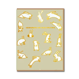 Baby Rabbits Multiplying Card