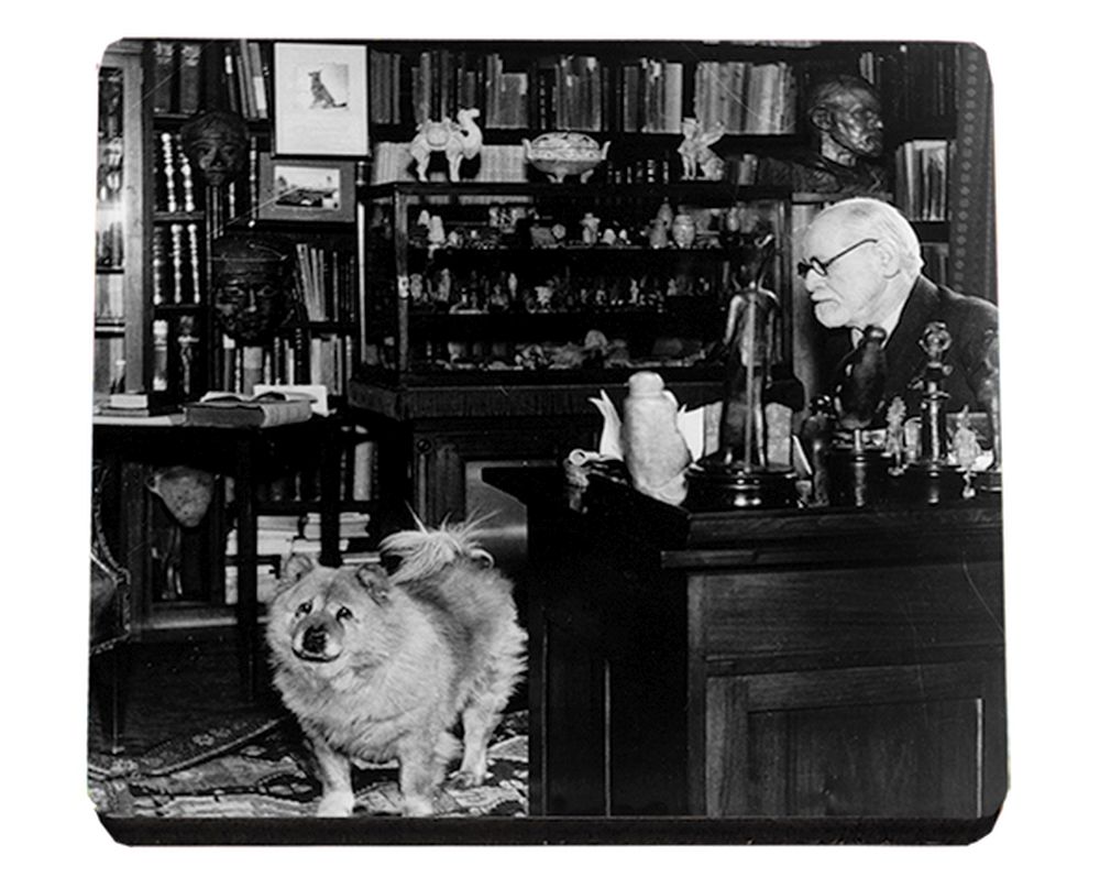 Glasunderlägg MDF, Freud med hund, TEMA-produkt
