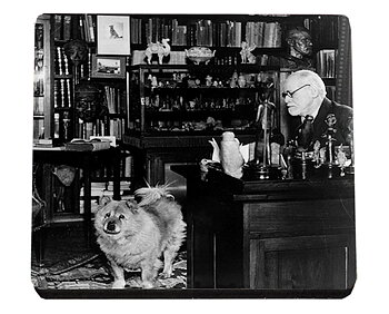 Glasunderlägg MDF, Freud med hund, TEMA-produkt