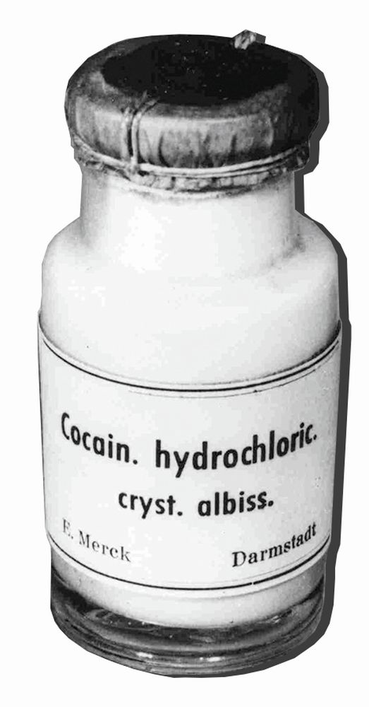 Magnet MDF, Sigmund Freud, Medicin, TEMA-produkt.