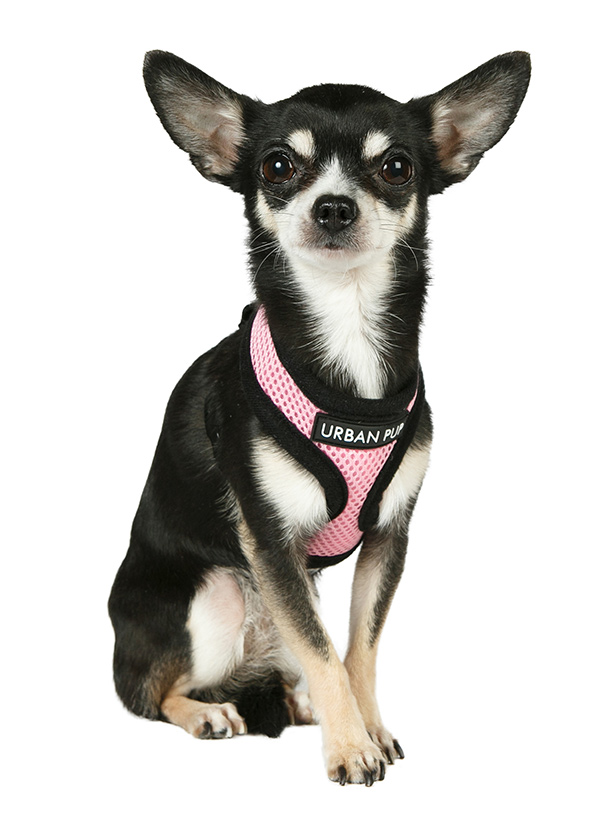 Urban Pup Pink Soft Sele Rosa/Svart - 2