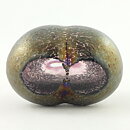 Bertil Vallien (Volcano 1981) Double Bubble Vase with Oily Decor 6 cm 