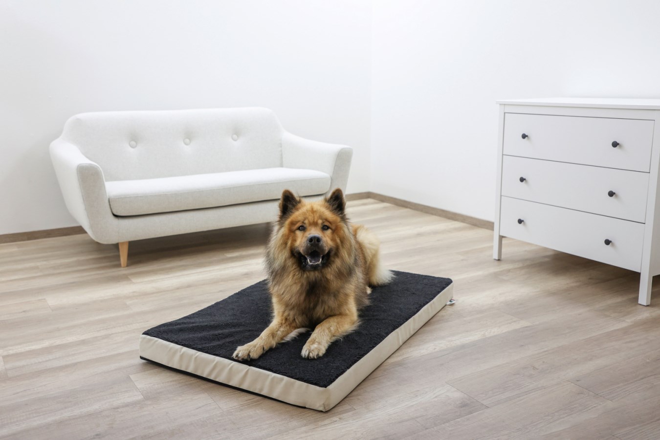 Kerbl Hundbädd Memory Foam - Beige/Antracit (50x80cm)