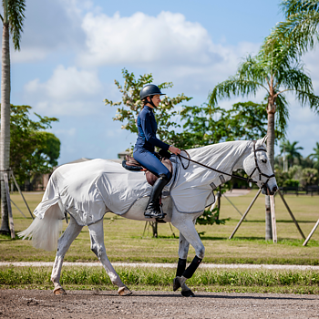 AMIGO FLYRIDER - RIDING FLY RUG