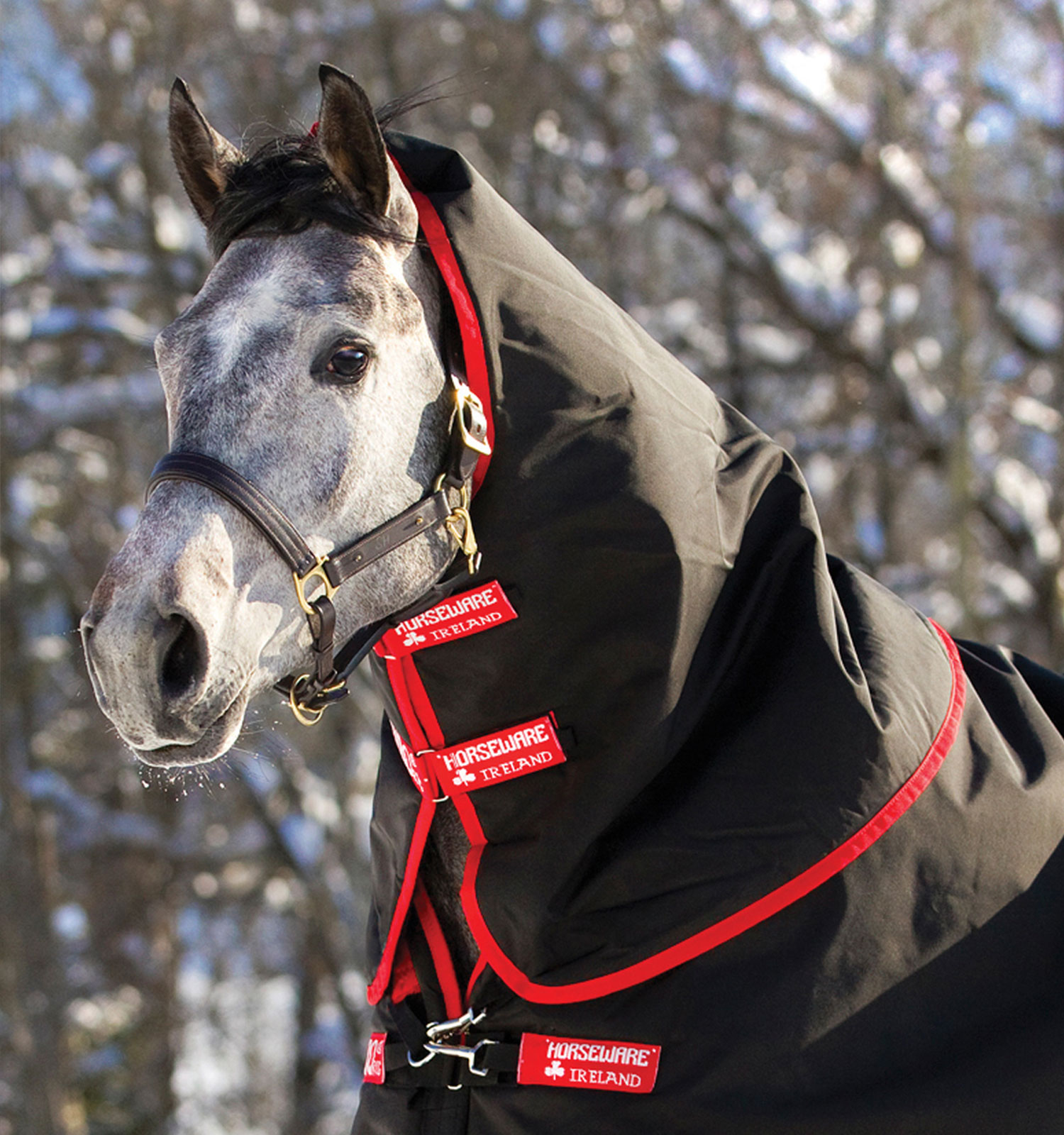 RAMBO SUPREME 1680D HOOD 250GR UTGÅENDE FÄRG - 2
