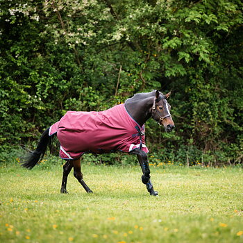 RAMBO ORIGINAL 0GR UTGÅENDE