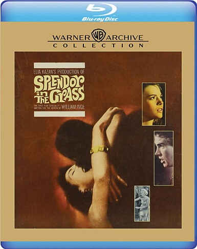 Splendor In The Grass (BLU-RAY)