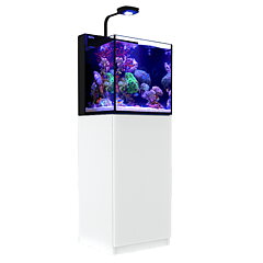 Red Sea - Max Nano Cube 75L - Komplett akvarium med möbel
