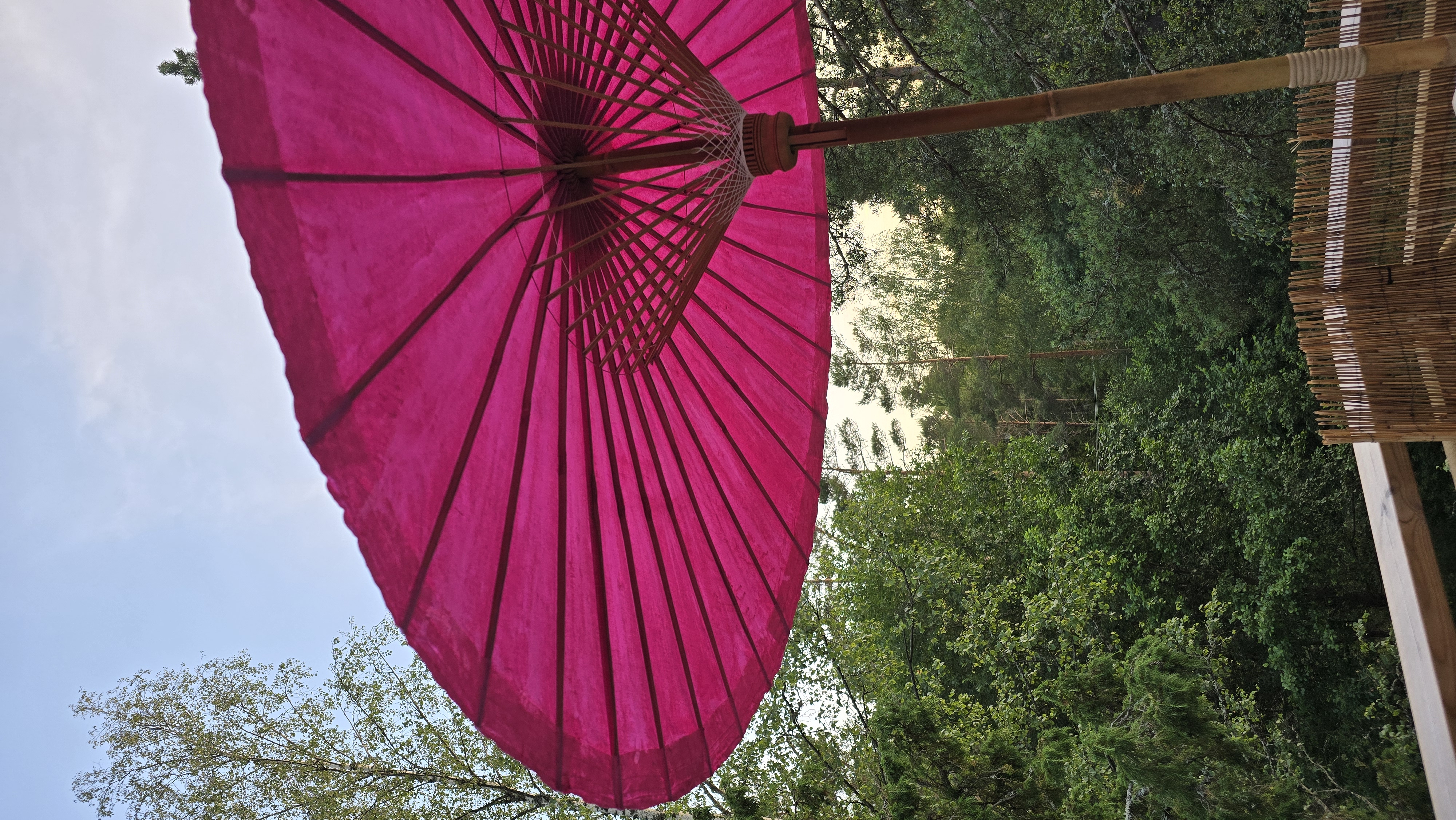 Parasoll - Pink - 7