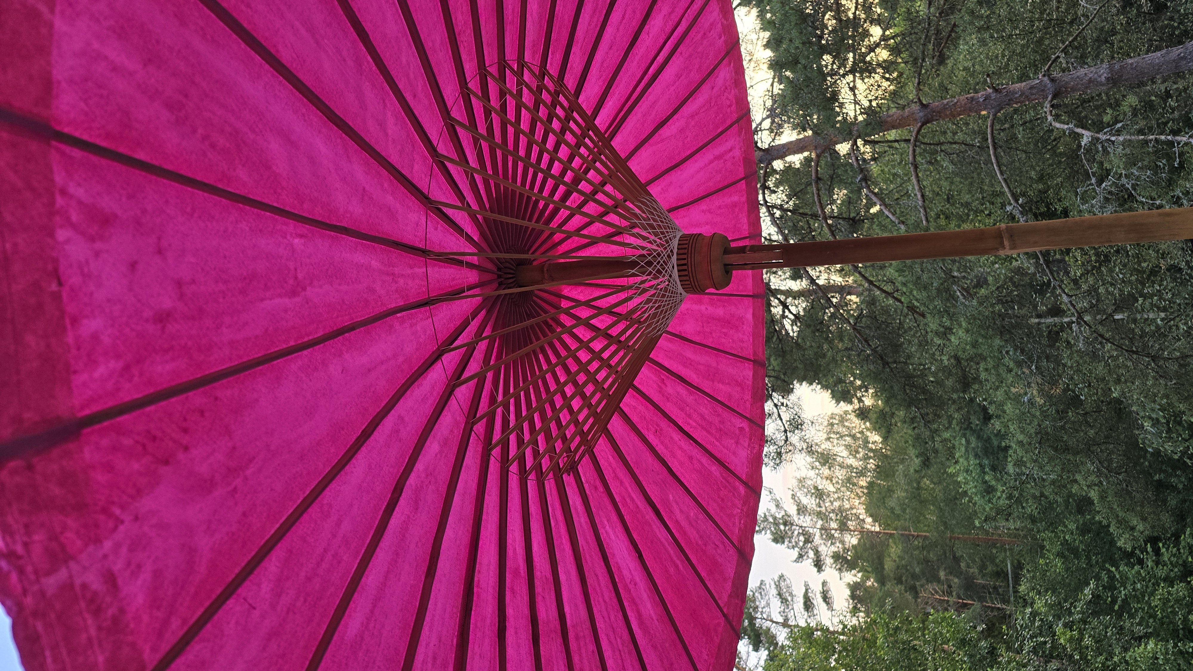 Parasoll - Pink - 3