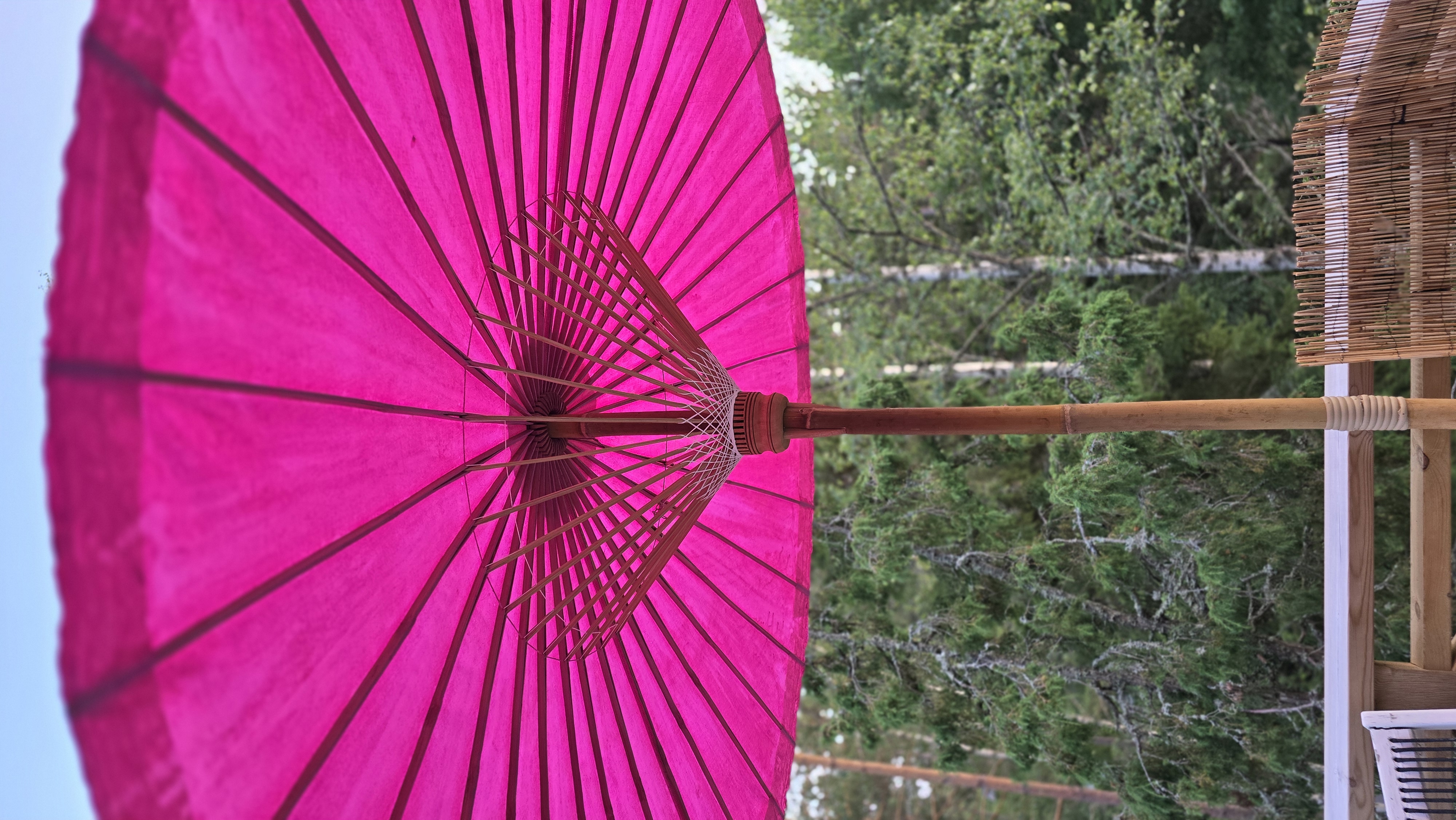 Parasoll - Pink - 8