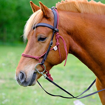 Ridgrimma / trailträns / träningsträns, F.R.A.® "Campari" (anatomisk), brun