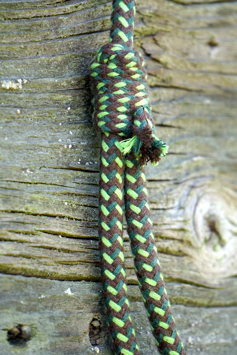 Neck ring / cordeo Brockamp (stiff), forest green - 2