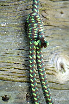 Halsring / cordeo Brockamp (styv), forest green