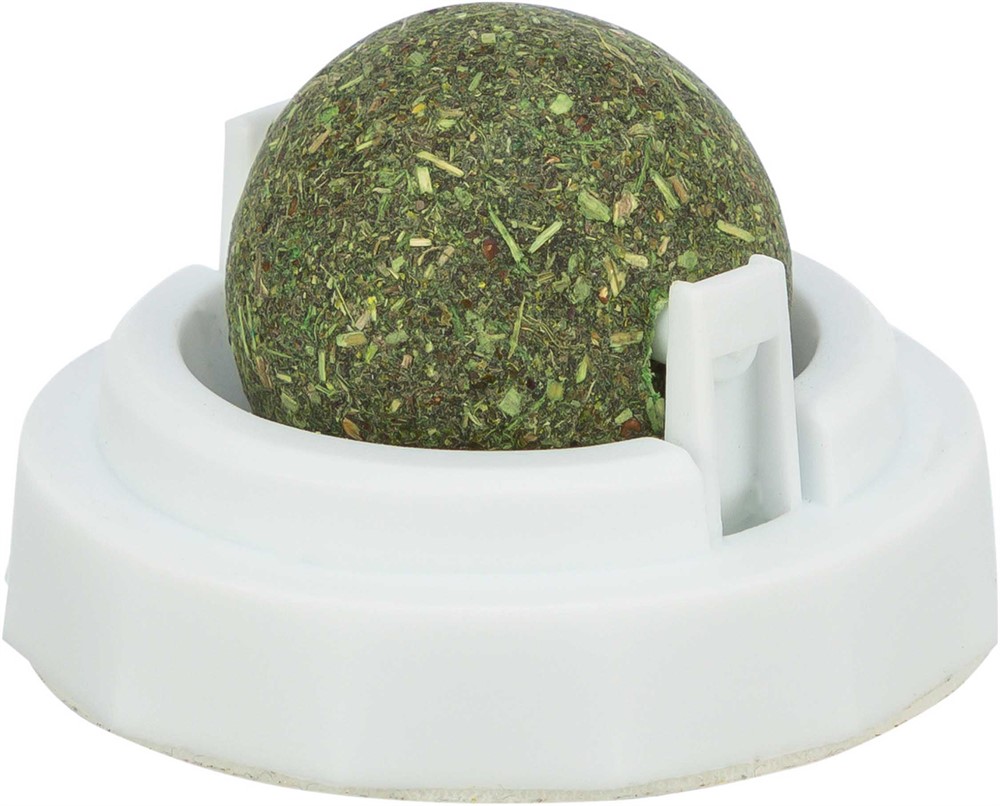 Catnipboll med hållare, 5cm - 2