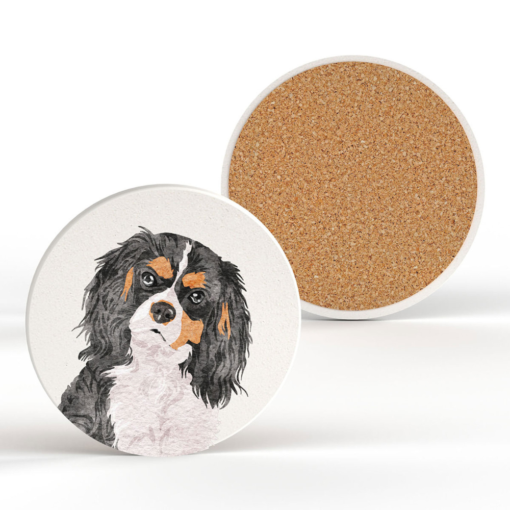 Coaster Vivid Squid King Charles Spaniel