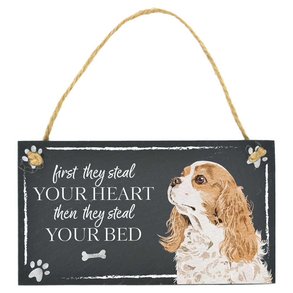 Slate Sign Vivid Squid Cavalier King Charles Spaniel