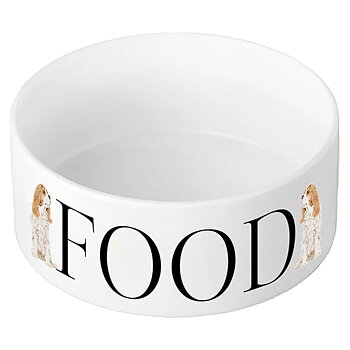 Dog Food Bowl Vivid Squid Cavalier King Charles Spaniel