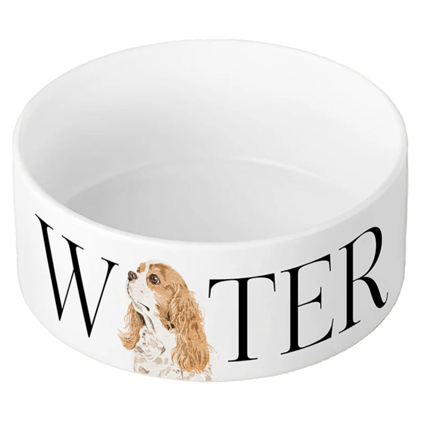 Dog Water Bowl Vivid Squid Cavalier King Charles Spaniel