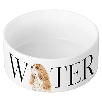 Dog Water Bowl Vivid Squid Cavalier King Charles Spaniel