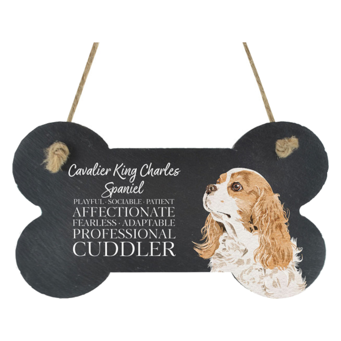 Skifferskylt Benformad Vivid Squid Cavalier King Charles Spaniel 