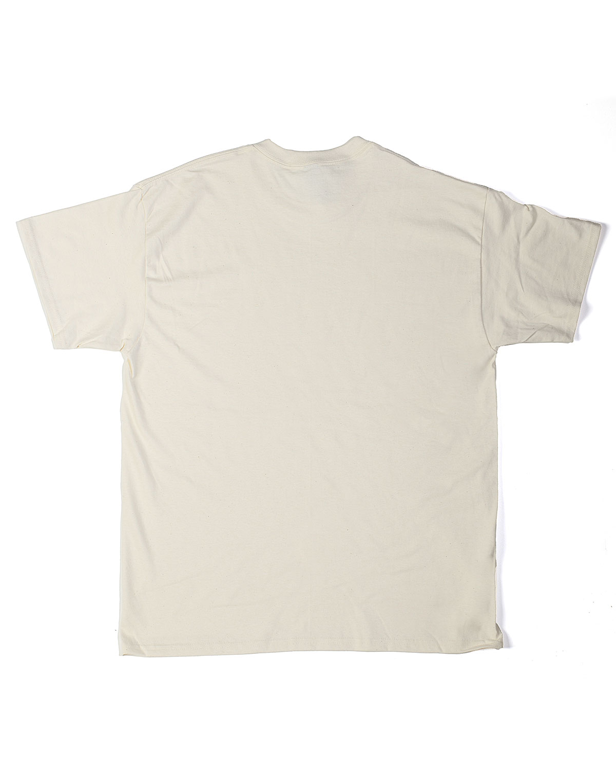 Stand Tall T-Shirt - Fisheye Natural - 4