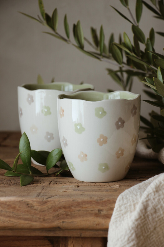 Mayan muki Bloom