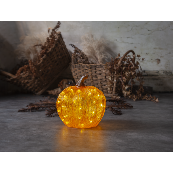Paristokäyttöinen Pumpkin Star Trading - 4