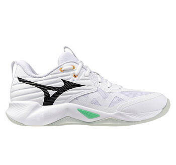 Mizuno Wave Momentum Pro Men white/black/frozen emerald