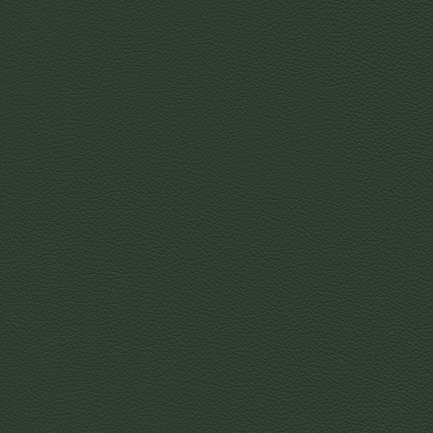 Toronto EN dark green - 2