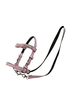 Kjepphest hodelag med diamanter rosa